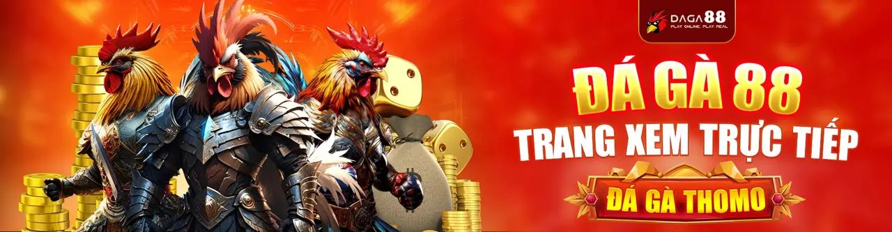 Sân đấu đá gà trực tiếp sôi động tại e28bet